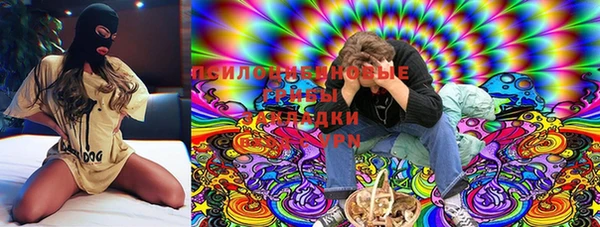 мдпв Балахна
