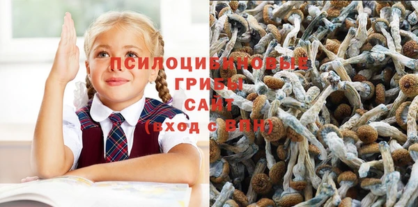 spice Протвино