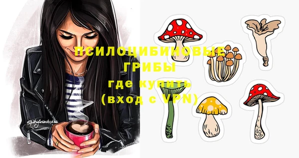дмт Арсеньев