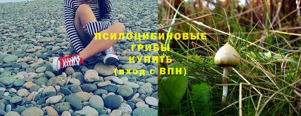 дмт Арсеньев